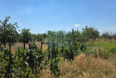 Casă cu 2 camere cu Canalizare în Șimian