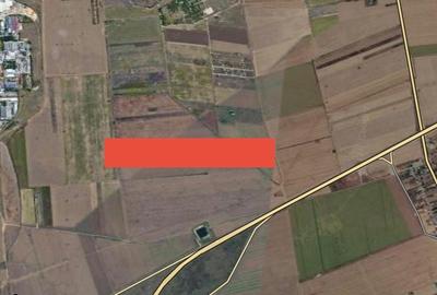 Teren agricol extravilan de 50000 mp, în Viile Noi - 2