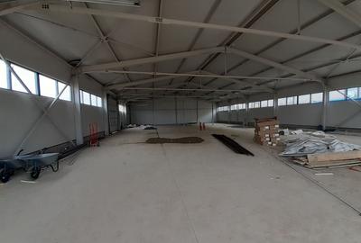 Spațiu industrial, de 100 mp, în Theodor Pallady - 5