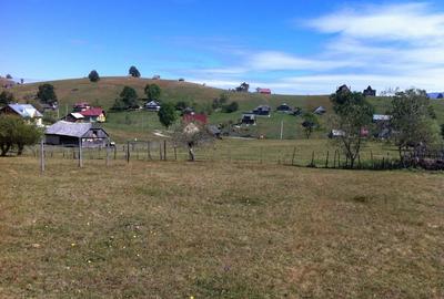 Teren Construcții intravilan de 1500 mp, în Șirnea - 10