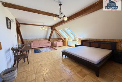 Apartament cu 3 camere decomandat, mobilat în Centrul Istoric - 10