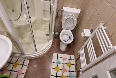 Garsonieră decomandată în Plopilor - 4