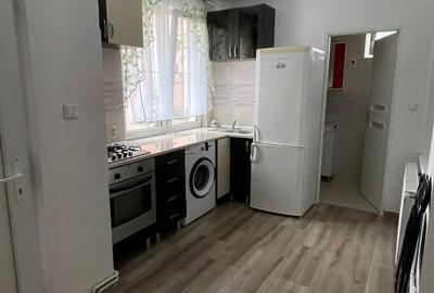 Casă cu 2 camere în Lotrioara - 1