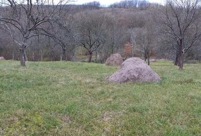 Teren de 4000 mp, în Cuieș - 2