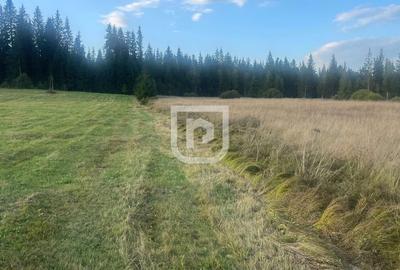 Teren Construcții intravilan de 5740 mp, în Poiana Stampei - 1