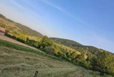 Teren de 3380 mp, în Șoimuș - 8