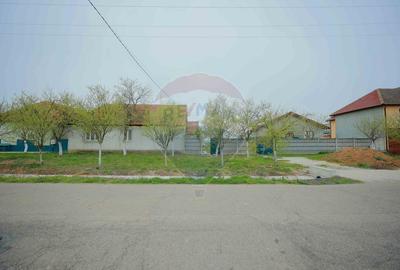 Casă cu 4 camere cu Teren 2440 Mp în Alparea - 3
