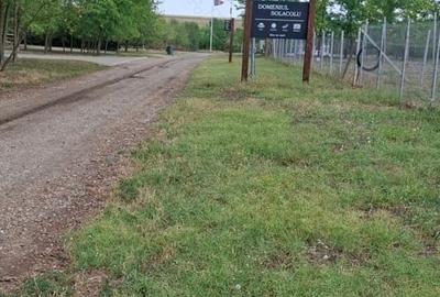 Teren de 400 mp, în Sărulești - 3