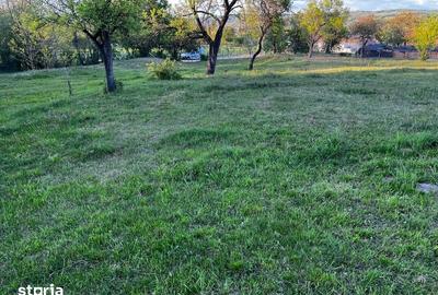 Teren de 5600 mp, în Pianu - 3