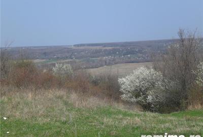 Teren de 40000 mp, în Spineni