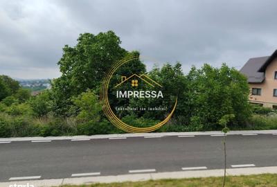 Spațiu comercial, în Ipotești - 1