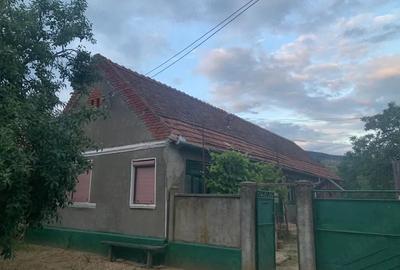 Casă cu 3 camere în Cuvin