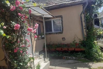 Casă cu Teren 635 Mp în Ocoliș