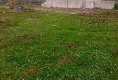 Casă cu 3 camere cu Teren 2500 Mp în Valea Argovei - 3