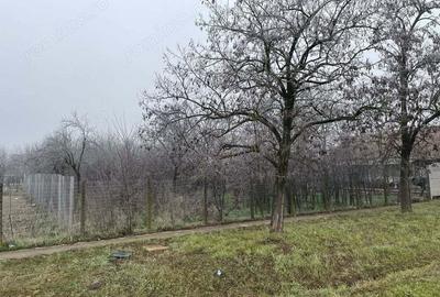 Teren de 745 mp, în Cerneteaz - 7