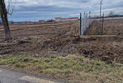 Teren Construcții intravilan de 12800 mp, în Ciolpani - 2