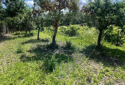 Casă cu 4 camere cu Teren 1433 Mp în Puchenii Mari - 9