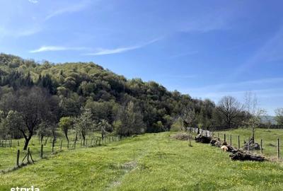 Teren de 2400 mp, în Pietroșani