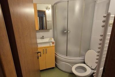 Apartament cu 4 camere decomandat în Dosu Bricii