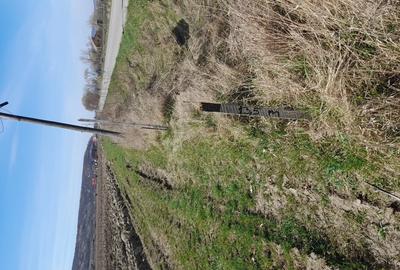Teren de 4300 mp, în Arcalia - 4