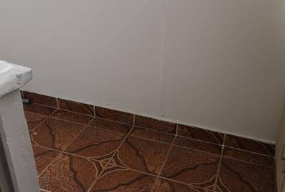 Apartament cu 3 camere decomandat, mobilat în Giurgiului - 11