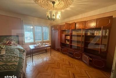 Casă cu 4 camere cu Teren 6197 Mp în Micula - 1