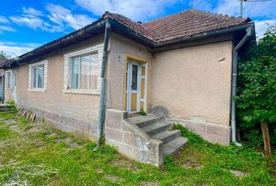 Casă cu 2 camere cu Teren 954 Mp în Mica - 8