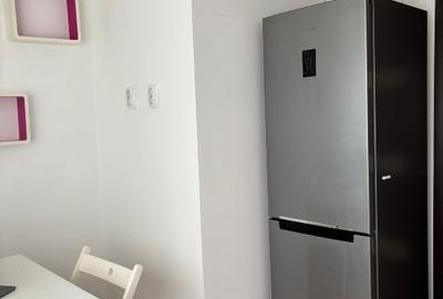 Apartament cu 3 camere decomandat, mobilat în Doamna Ghica - 6