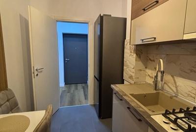 Apartament cu 2 camere, mobilat în Decebal - 8