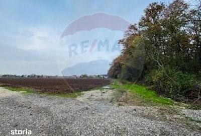 Teren de 1100 mp, în Snagov - 1