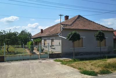 Casă cu 4 camere în Foieni