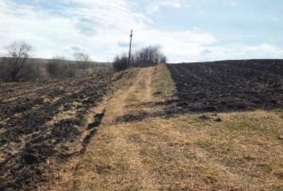 Teren agricol extravilan de 11500 mp, în Pata - 3