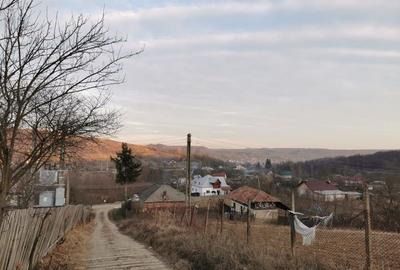 Teren de 6000 mp, în Priboieni - 1