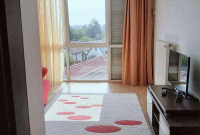 Apartament cu 2 camere decomandat în Turnișor - 3