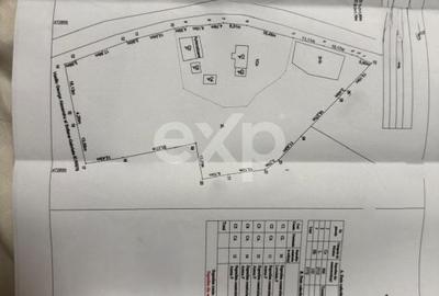 Casă cu 2 camere în Săliștea - 5