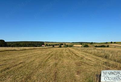 Teren de 4000 mp, în Dragomirna