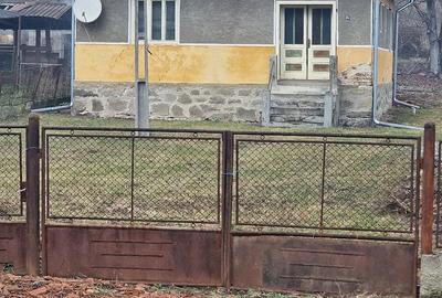 Casă cu 3 camere cu Teren 3300 Mp în Luncoiu de Jos - 1