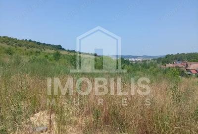 Teren de 8800 mp, în Depozite - 1