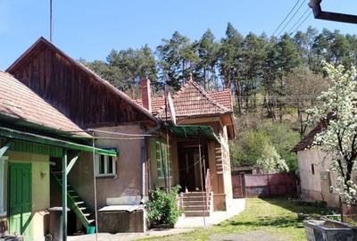 Casă individuală cu 5 camere cu Teren 1050 Mp în Tetișu - 3