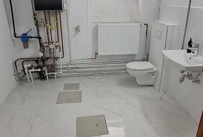 Spațiu comercial, de 120 mp, în Elisabetin - 2