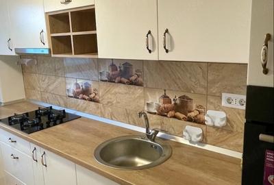 Apartament cu 2 camere decomandat în Nicolina - 5