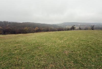 Teren agricol de 35000 mp, în Cisnădioara - 2