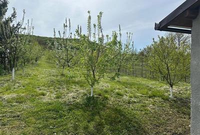 Teren Construcții intravilan de 3092 mp, în Hașag - 7