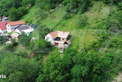 Casă cu 3 camere semidecomandat în Căpâlna - 2