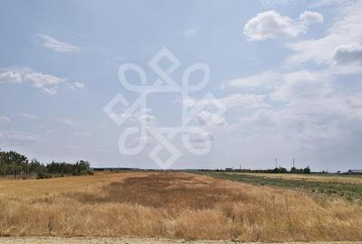 Teren de 3000 mp, în Gepiu