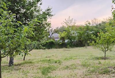 Teren de 1600 mp, în Somova