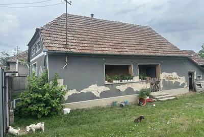 Casă cu Teren 2316 Mp în Gurbediu
