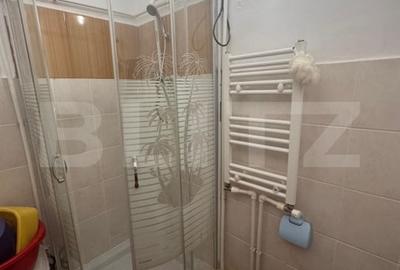 Apartament cu 2 camere semidecomandat, mobilat în Vișani - 5