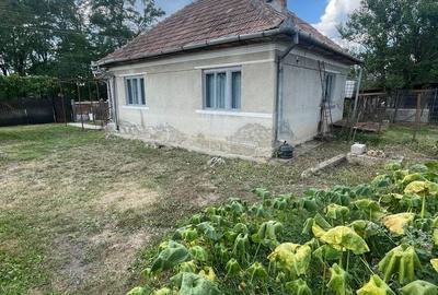 Casă cu 3 camere cu Teren 902 Mp în Jucu