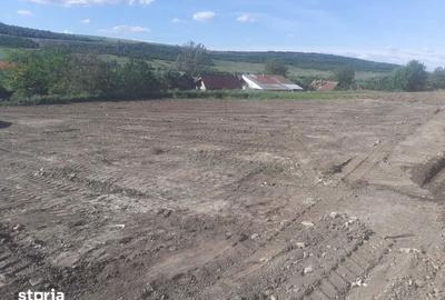 Teren de 1382 mp, în Dăbâca - 2